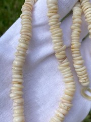 Vintage Hawaiian Puka Shell Bead Necklace 17.75 Inch Graduated up to 8.2mm
