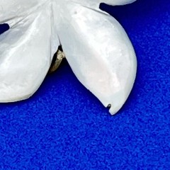 Mother of Pearl Flower Jewelry Lot Brooch Clip On Earrings MOP Floral