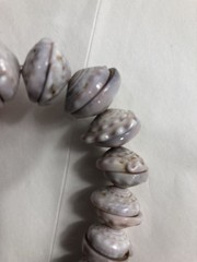 Puka Shell Necklace Hawaiian Lei Graduated 9 mm to 17 mm 17 in Length – Vintage
