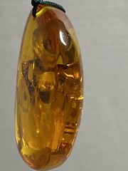 Reconstituted Amber Fossil Insect Pendant Necklace Adjustable Paracord