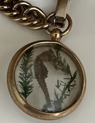 VTG Preserved Seahorse Bracelet Lucite Charm Fob Gold Tone 7″