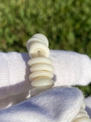 Vintage Hawaiian Surfer Puka Shell Bead Necklace 15 Inch Graduated up to 12+mm