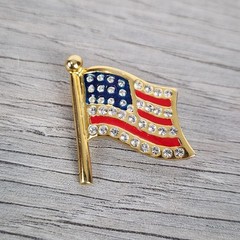 American Flag Pin/Brooch Celebrate 250 Years This 4th of July U.S.A.