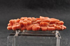 Intricate Hand-Carved Natural Coral Floral OBIDOME Certificate (total 71.0ct).