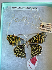 Butterfly Genuine Baltic Amber Necklace Vintage Egg Yolk Butterscotch Polish 老琥珀