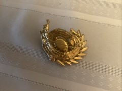 Vintage Large Juliana Watermelon Brooch
