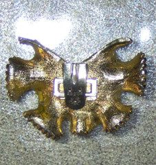Vintage S.G. D’OR Dress or Shoe Clip On gold tone Flower or Leaf