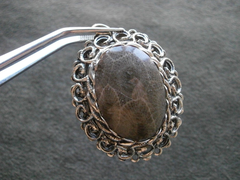 Petoskey Stone Fossil in Ornate Mount Vintage Oval Silvertone Pendant 12.8g