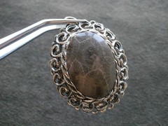 Petoskey Stone Fossil in Ornate Mount Vintage Oval Silvertone Pendant 12.8g