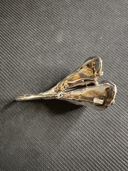Vintage Sterling Silver 925 Electrofrm Double Calla Lily Brooch/Pin, 3.5in Long