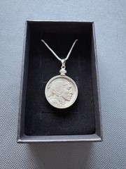 Beautiful Buffalo Nickel Necklace – Authentic Coins – 20in Stainless Chain