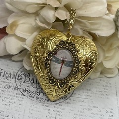 Gold Heart Locket Glass Birthday Anniversary Wedding Dragonfly Cameo Necklace