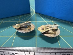 Vintage Large Oval Faux Pearl Clip On Earrings – JTV Costume Estate 169