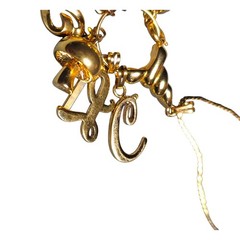 Vintage Signed Monet Gold Tone Charm Holder Necklace 30″ Monet Charms