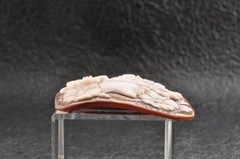 Vintage square shape Sardonyx shell came carved “Profiles of Young Girls” (83ct)