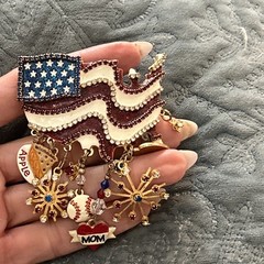 Lunch at the Ritz Brooch LatR2Go American Flag Apple Pie Baseball Pendant USA
