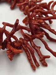 Vintage Long BRANCH CORAL NECKLACE With Spiky Spiny Sterling Screw Back Clip On