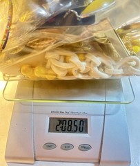 Grandma’s Yellow Themed VTG to Mod Estate Jewelry Box Lot 100+ Pieces/2.5lbs