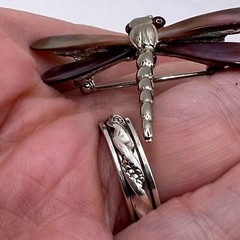 Swoboda Garnet Mop Dragonfly Brooch Mother Of Pearl Wings Signed Costume Jewelry