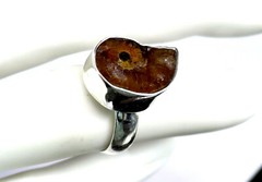 Excellent 450 mil years old Natural Ammonite Fossil .925 Sterling Silver Ring #6