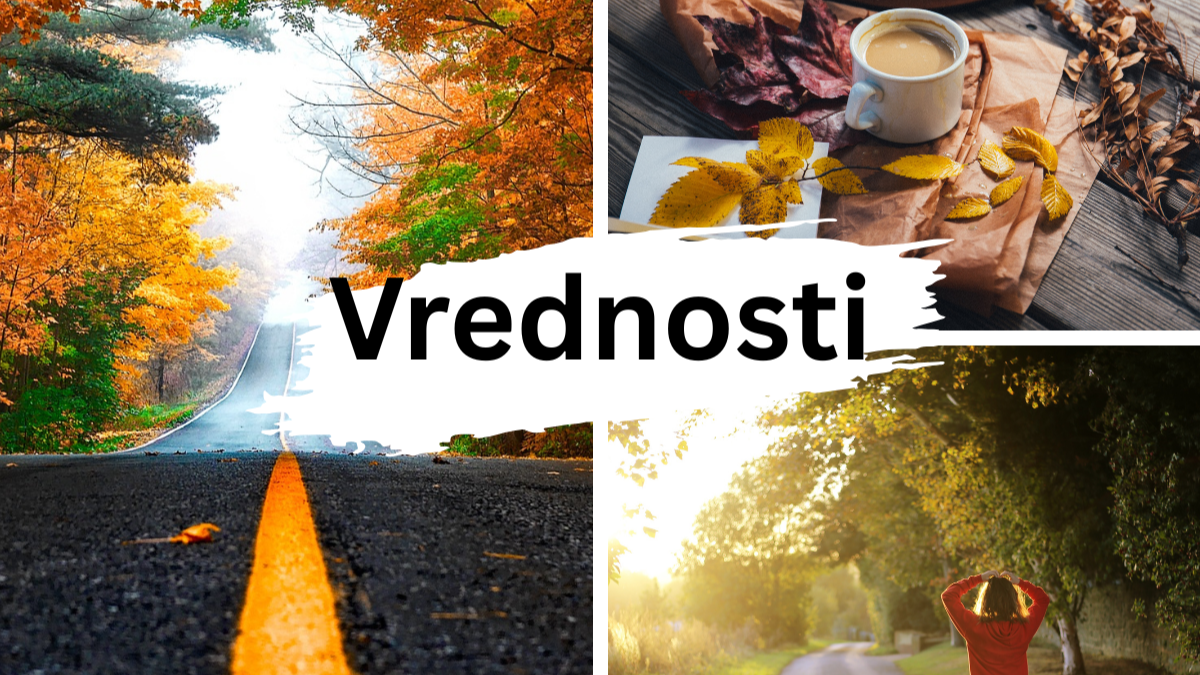 Vrednosti u organizaciji i šta se desi kada su neusklađene